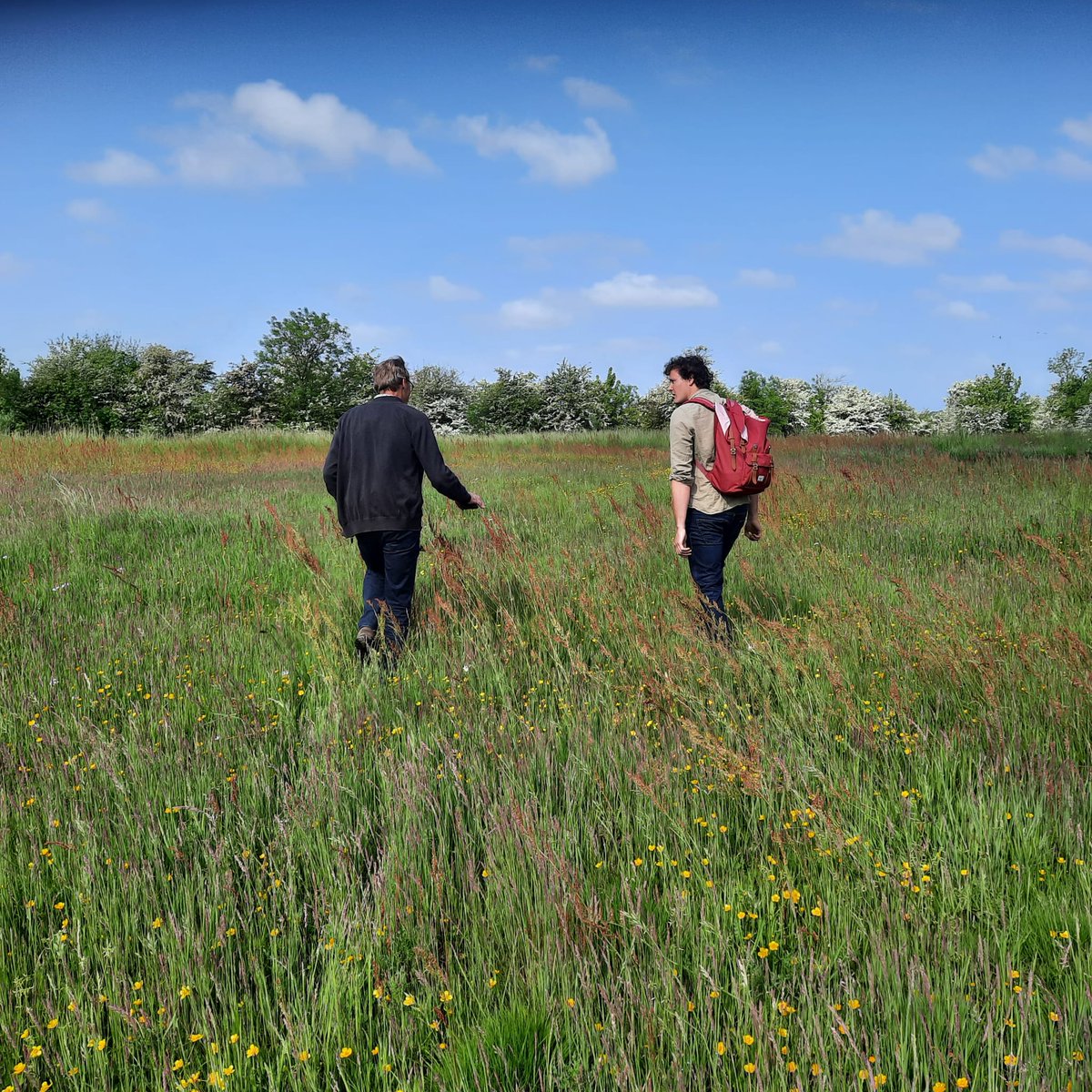 De Tuinderij Maarhuizen én Tuinderij Eikemaheert ontvangen een startsubsidie van de Stichting Groninger Voedseltuinen
groningervoedseltuinen.nl/nieuws/tuinder…