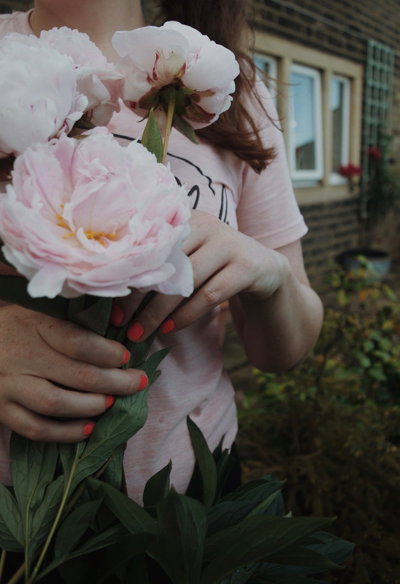 _lottelang's tweet photo. Peonies almost toppled by the rain 🌸 #peoniesaremyfavourite https://t.co/0cXLXw4smO
