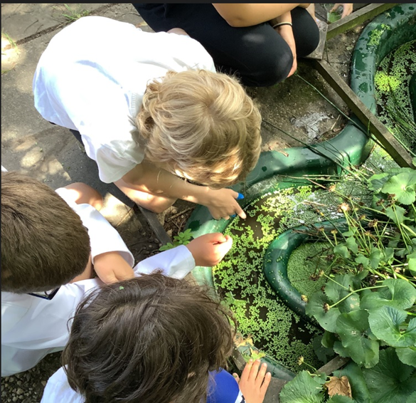 Wychbold First and Nursery School tweet media