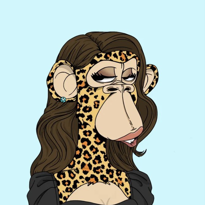 The Boredettes 🎀 tweet media