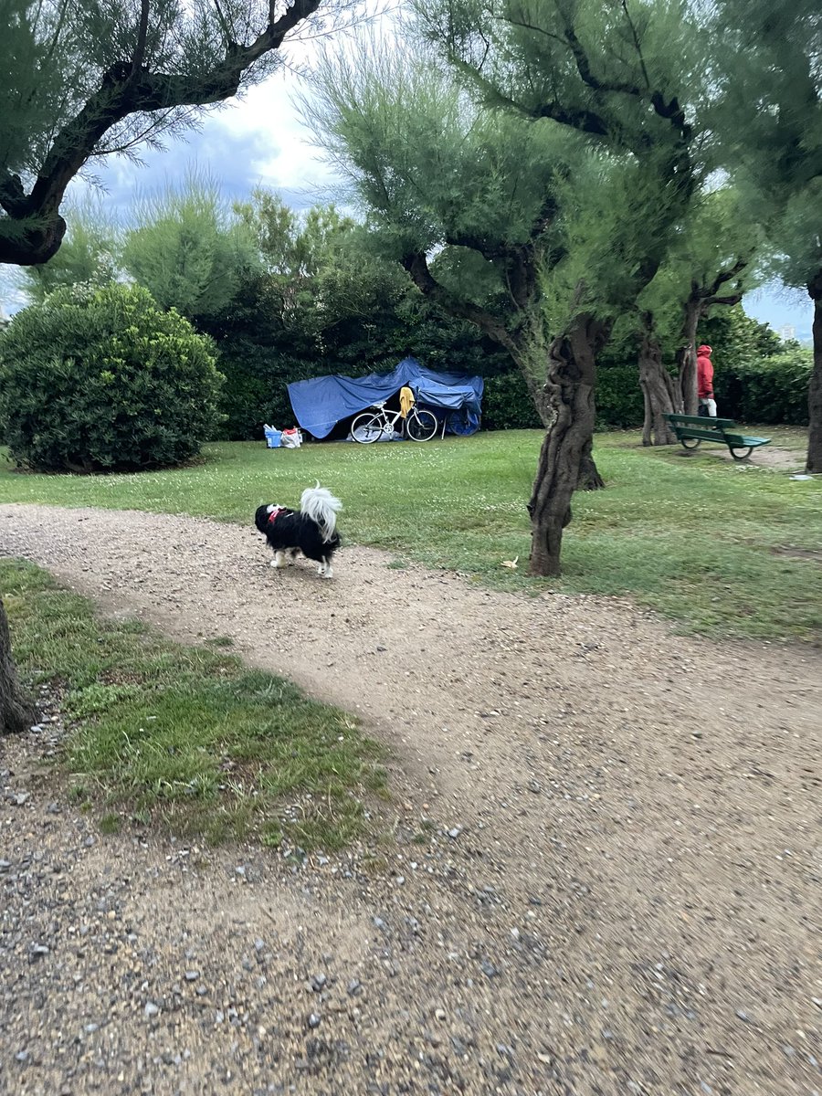 Nouveauté à biarritz ! Camping sauvage ! Devant le Regina ! <a href="/Ville2Biarritz/">Ville de Biarritz</a> <a href="/DestinationBtz/">Destination Biarritz</a> <a href="/BiarritzCongres/">Congrès & Expo</a>