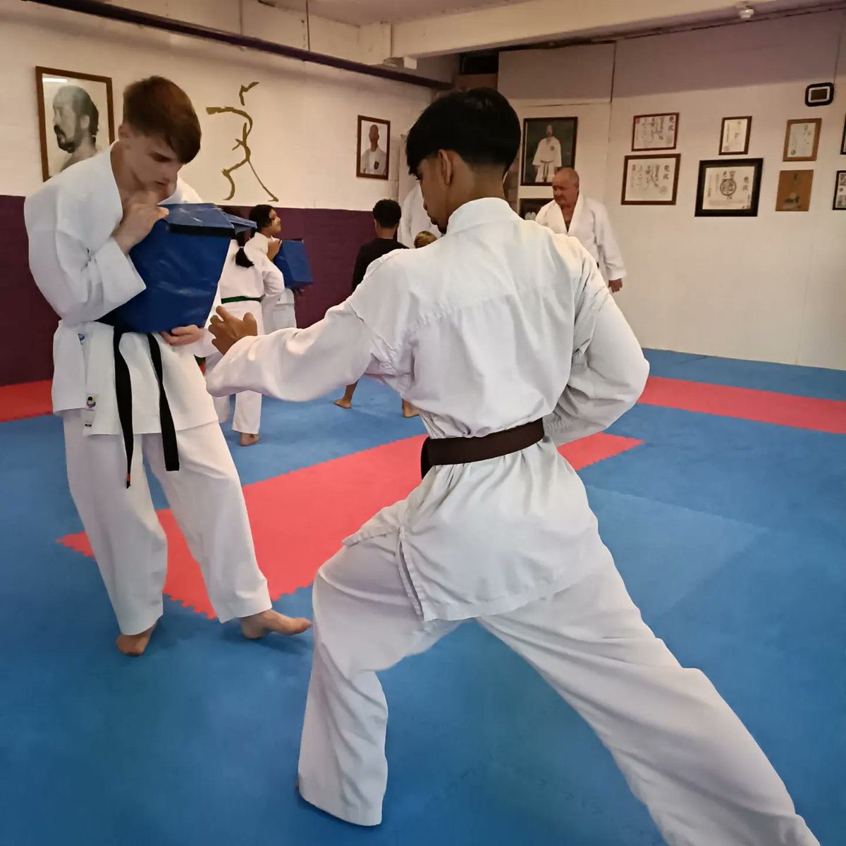 SKFShawKarate's tweet photo. Good session on the pads tonight

Come and join us every Monday and Thursday from 7:00pm - 8:30pm

#karate #kimura #shukokai #skf #martialarts #fitness  #Shaw #royton #oldham https://t.co/IGjWx49vcr