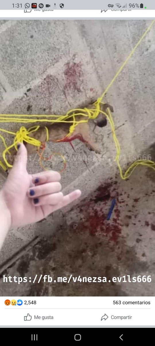 Masterdox tweet media