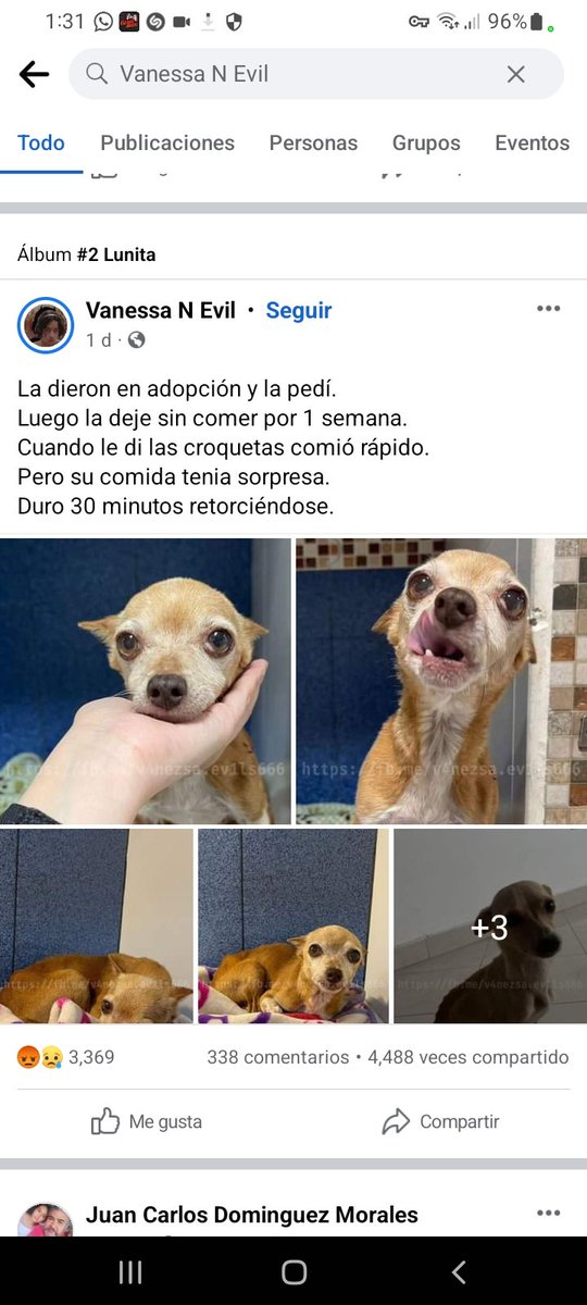 Masterdox tweet media