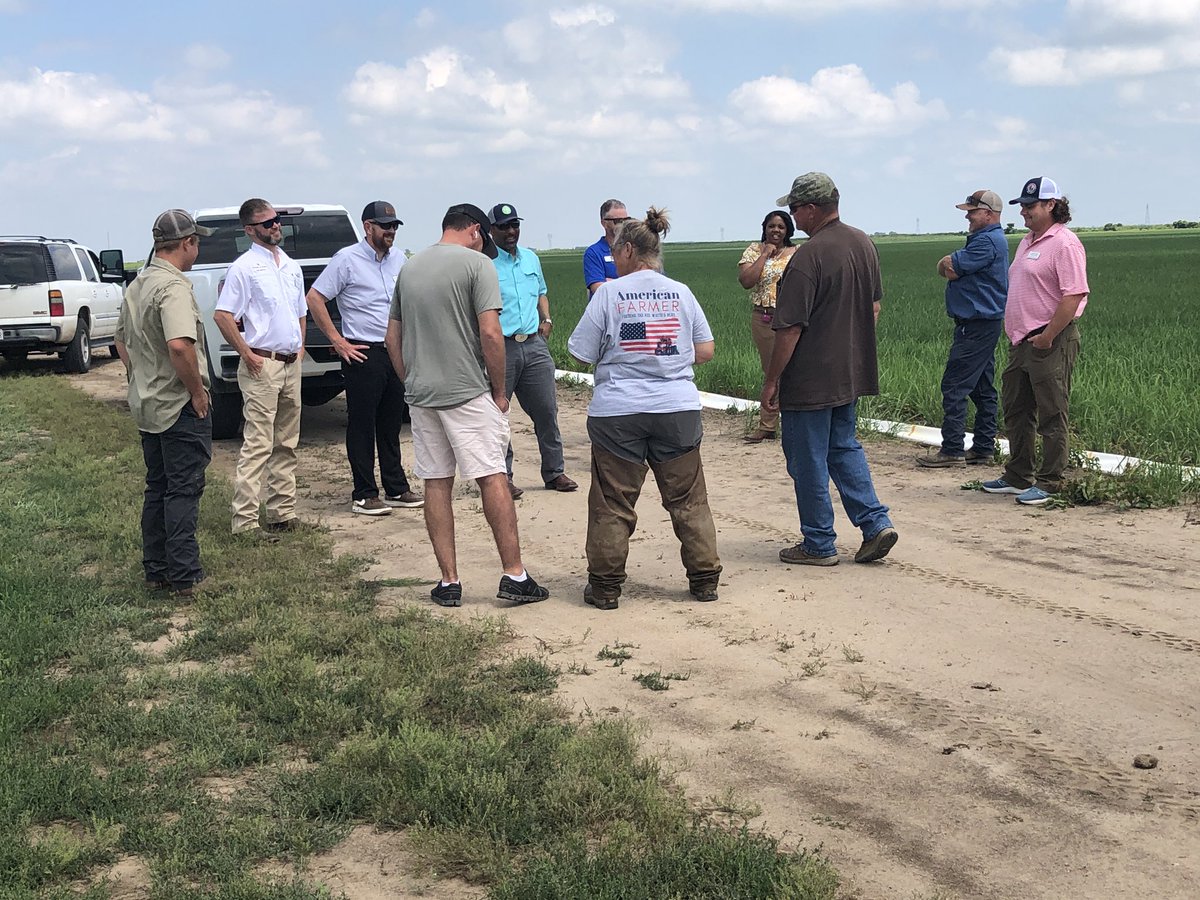 Steve Linscombe tweet media