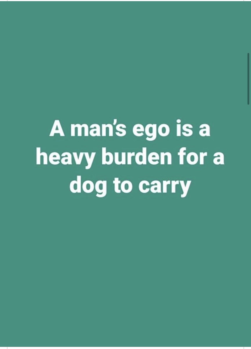 ThatK9guy's tweet image. Starting Monday off right 

#dogknowledge #TheMoreYouKnow #monday #motivation #dog #dogs #love