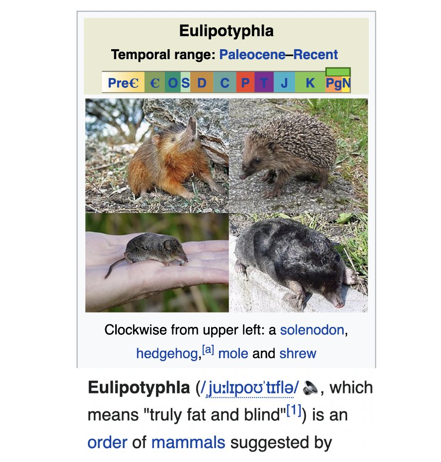 depths of wikipedia on Twitter "truly fat and blind"