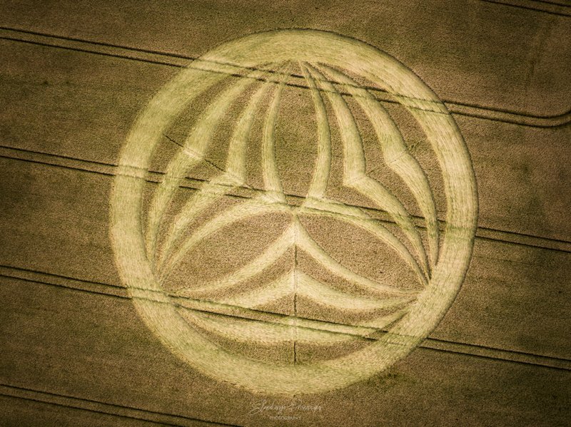 LATEST CROPCIRCLE .. cropcircleconnector.com/2023/eastleigh…