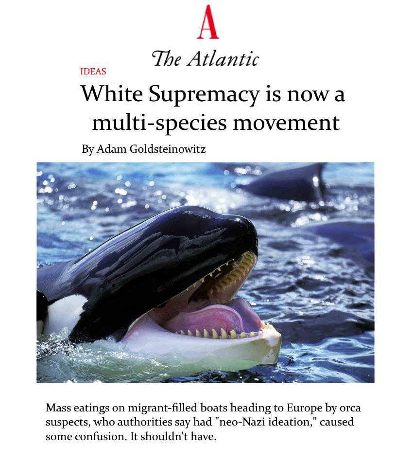 Killer whales are racist.