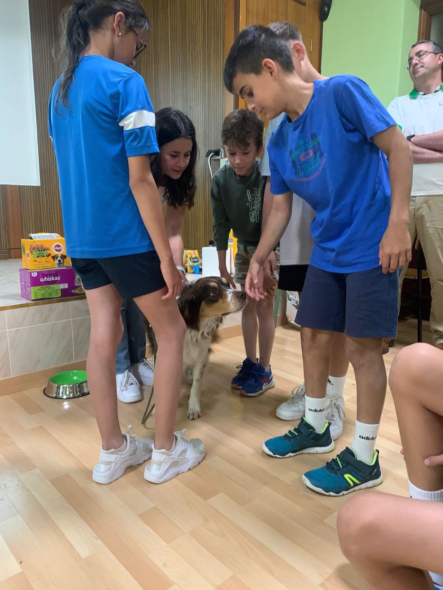 Salesarevalo's tweet photo. Esta mañana tuvimos una charla impartida por la fábrica MARS sobre el cuidado y alimentación de las mascotas. Los alumnos de Primaria disfrutaron de la mascota que nos trajeron. #AbrimosCaminos #salesianosarevalo https://t.co/TKp7xTLrSS