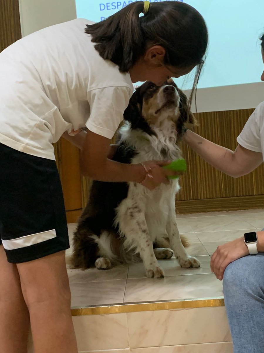 Salesarevalo's tweet photo. Esta mañana tuvimos una charla impartida por la fábrica MARS sobre el cuidado y alimentación de las mascotas. Los alumnos de Primaria disfrutaron de la mascota que nos trajeron. #AbrimosCaminos #salesianosarevalo https://t.co/TKp7xTLrSS