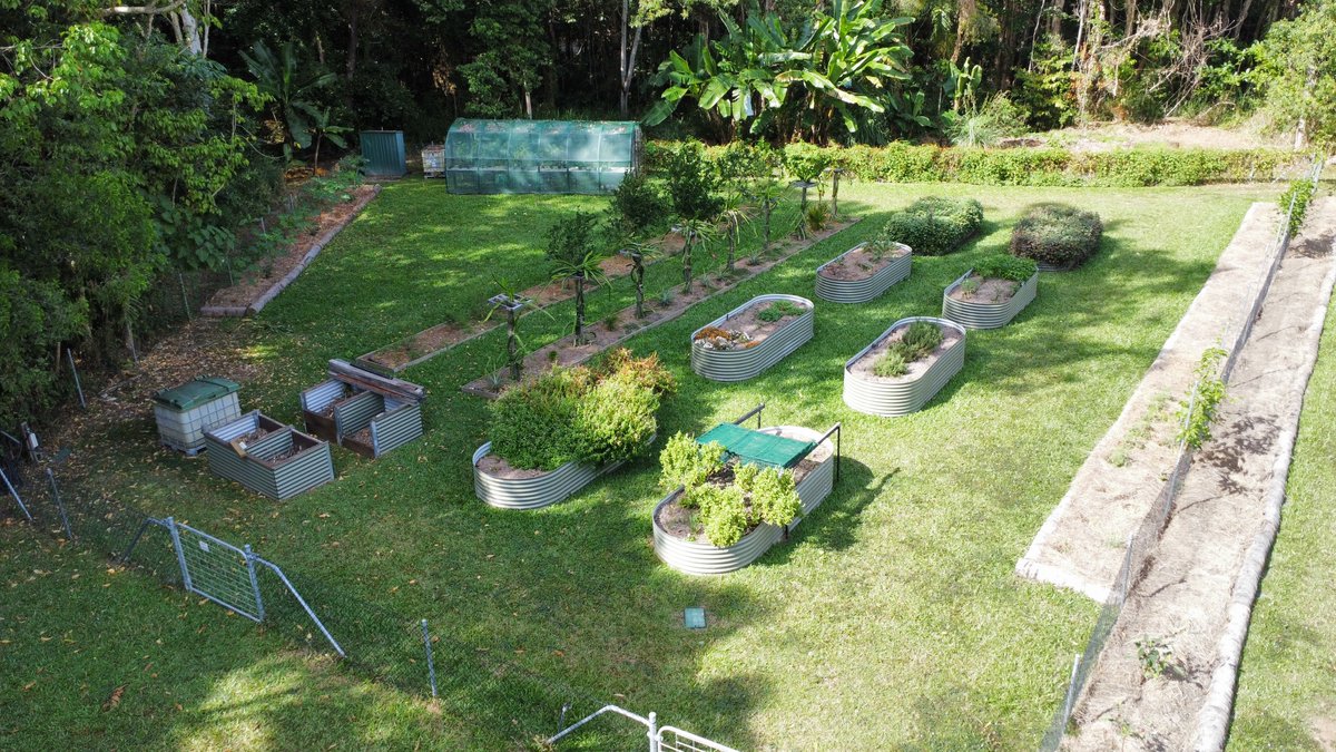 Our onsite vegie garden here   taking shape - producing some property to plate ingredients for our chefs  🥬💚🍅✨
xploreTNQ #portdouglasdaintree #portdouglas #thisisqueensland #thalabeach #seeaustralia #ecotourism #explorecairnsGBR #agfg #restaurant #propertytoplate