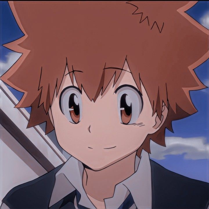 Hola, soy Sawada Tsunayoshi, soy el décimo jefe de la mafia Vongola y haré cualquier cosa para proteger a mi familia