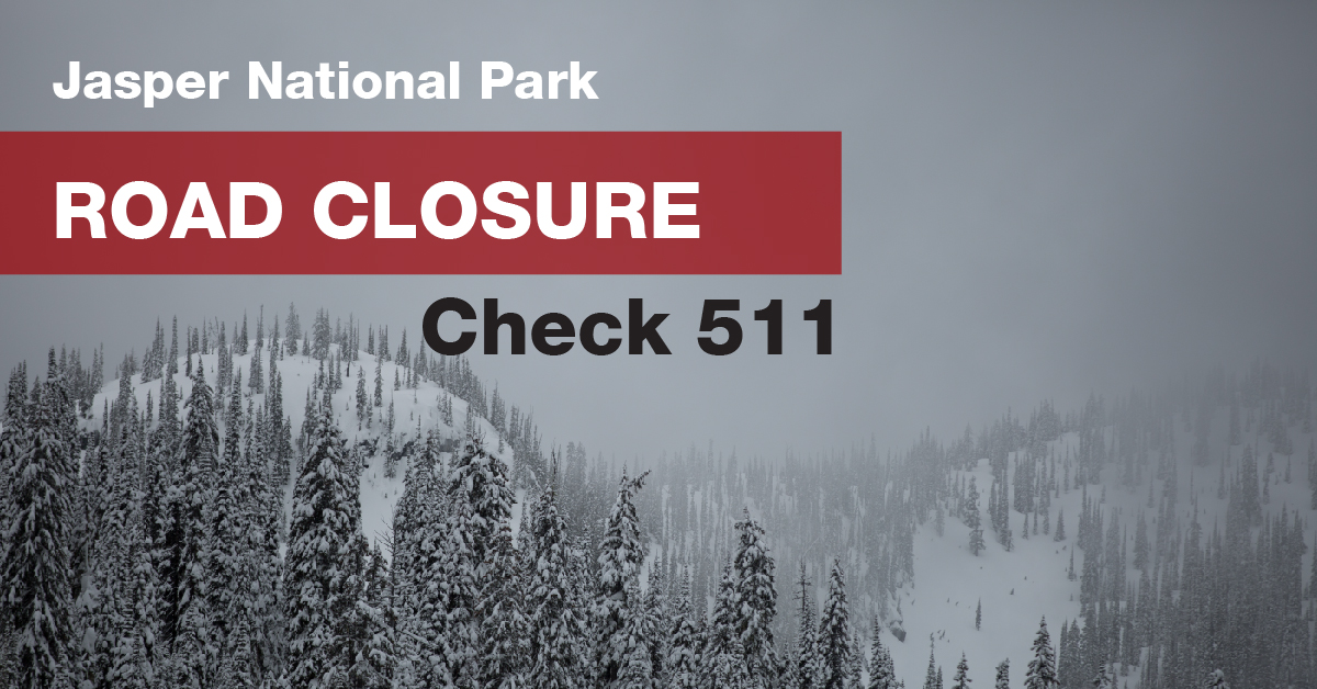 ❗❗ UPDATE: Road conditions @JasperNP 

Maligne Road and Miette Road are CLOSED due to heavy wet snow. Travelling is NOT recommended on the #IcefieldsParkway (93N) and 93A. 

ALWAYS check 511.alberta.ca/#:Alerts or call 511 for road conditions.  @511Alberta #ABRoads