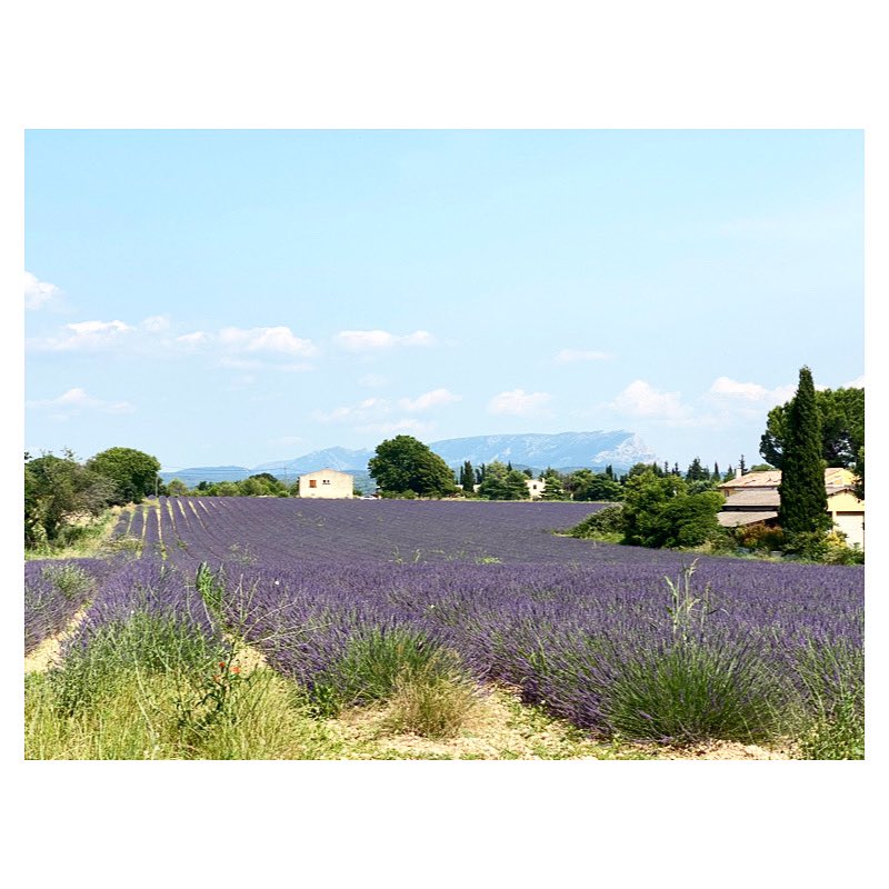 Puyricard 

#montagnesaintevictoire #puyricard #amazingview #landscape #landscapephotography #igersaixenprovence #maregionsud #departement13 #lavande #provencealpescotedazur #couleurdusud #wipplay #grainedephotographe #woofermagazine #legoutdesfollowers #reponsesphoto