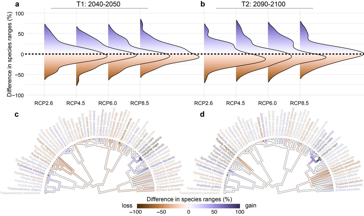 Barnabas Daru (@barnabas_daru) on Twitter photo Exciting news! Our new paper on the reorganization of seagrasses in a changing climate is out <a href="/NaturePlants/">Nature Plants</a>! doi.org/10.1038/s41477…. We reveal shifts in α- and β-diversity of seagrasses in response to climate change. #ClimateChange #MarineBiodiversity #Conservation #Seagrasses Exciting news! Our new paper on the reorganization of seagrasses in a changing climate is out <a href="/NaturePlants/">Nature Plants</a>! doi.org/10.1038/s41477…. We reveal shifts in α- and β-diversity of seagrasses in response to climate change. #ClimateChange #MarineBiodiversity #Conservation #Seagrasses