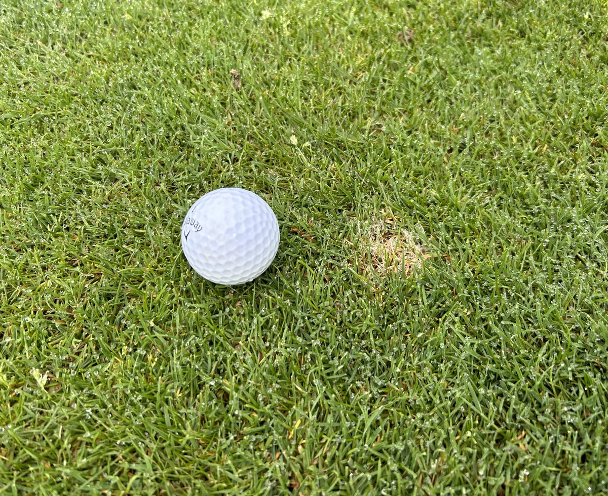 PBI-Gordon Turf Experts tweet media