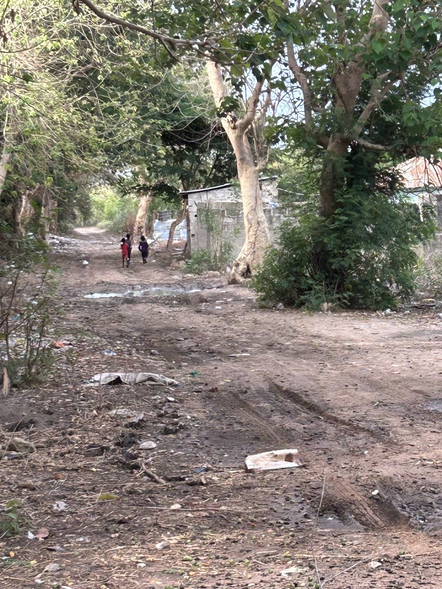 Demba3210123's tweet photo. Raining season just began in the Gambia 🇬🇲 🍀🌳 https://t.co/rIKXciuhFn