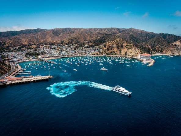 Catalina Island tweet media