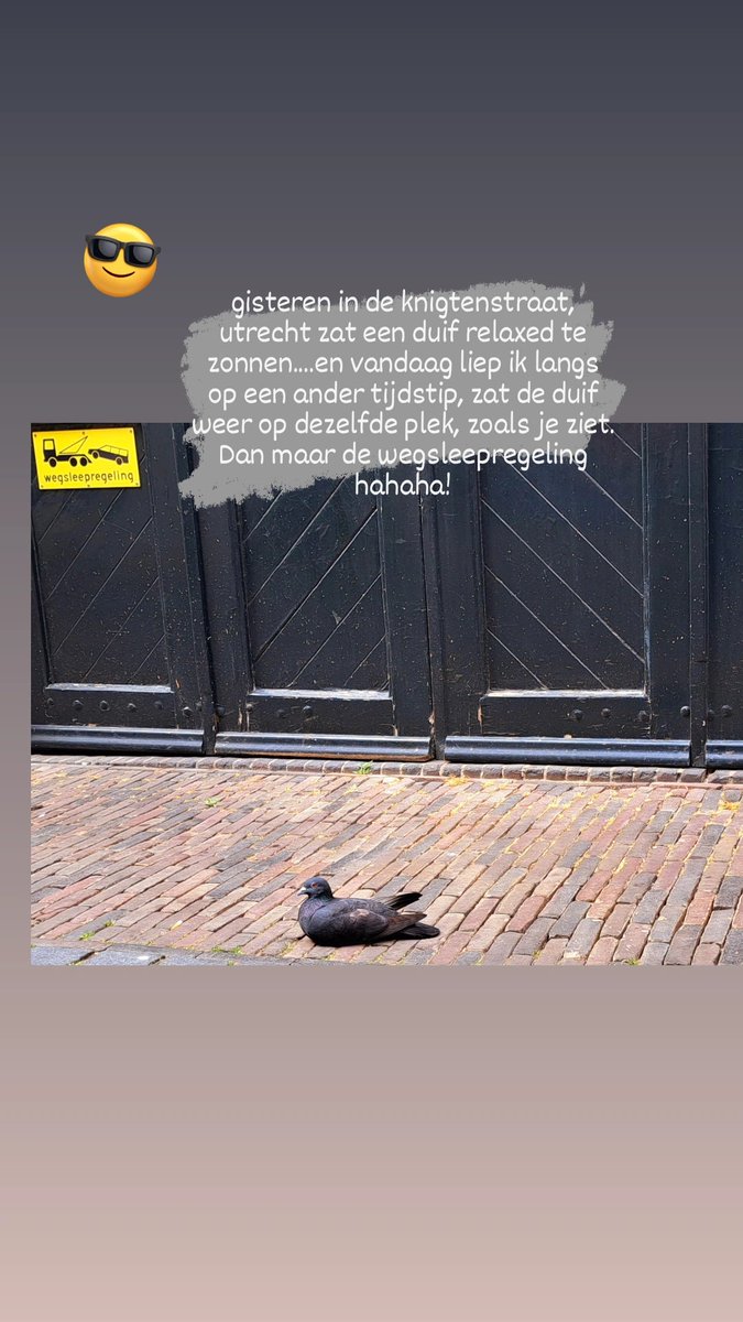 Els Pical tweet media