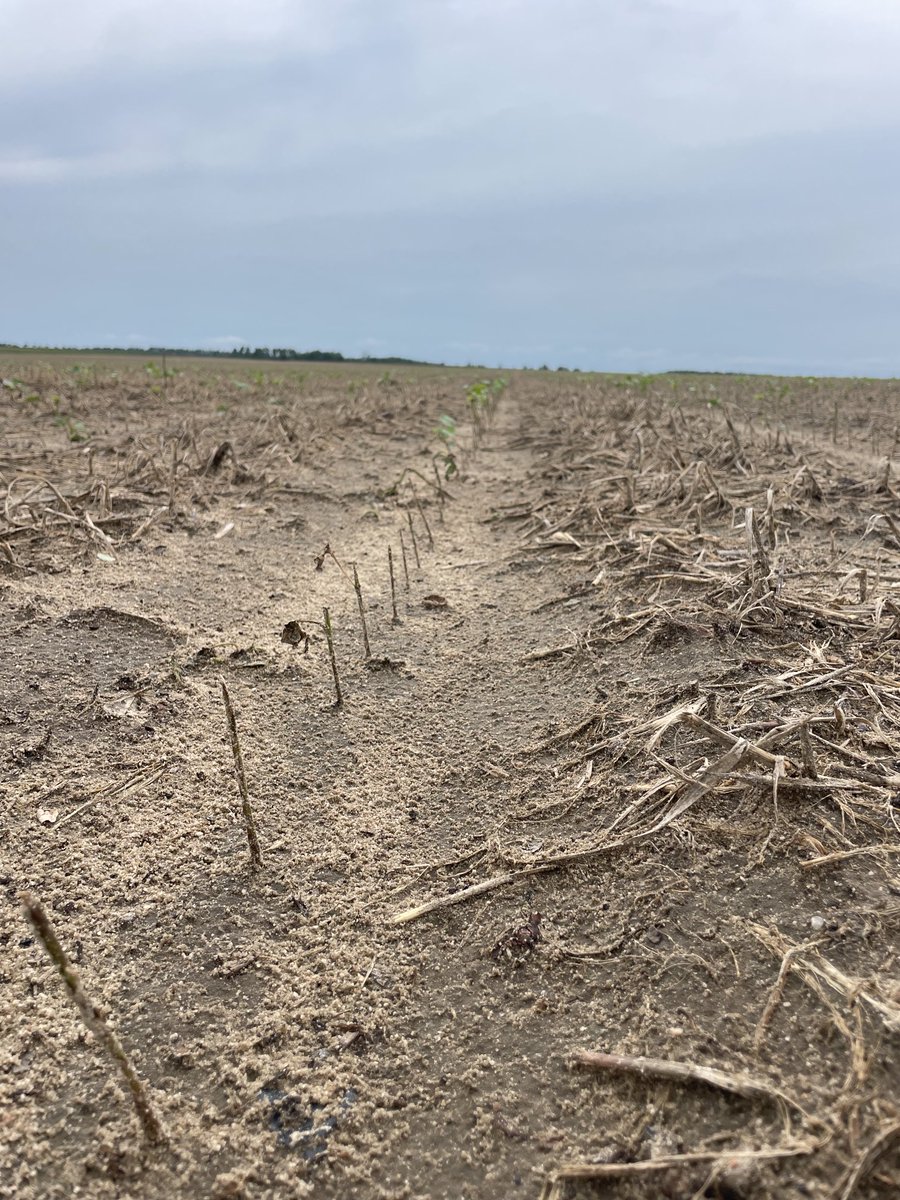 Wes Briggs tweet media