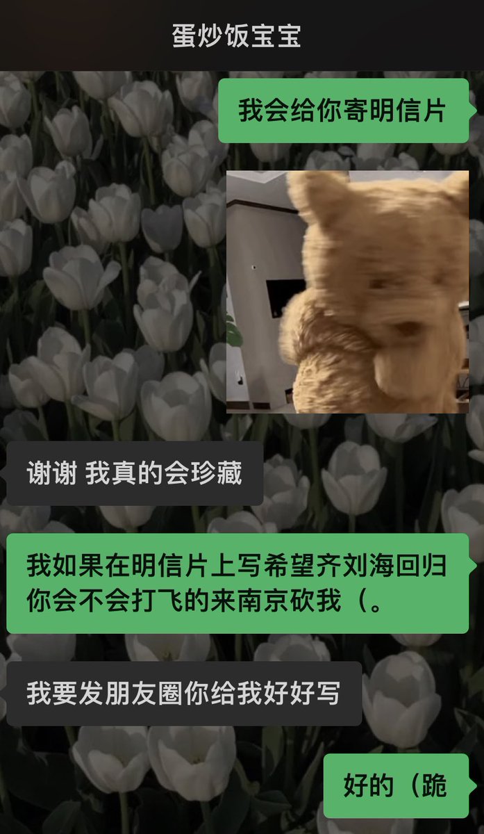 _SilverHillside's tweet photo. 我还是会写一张齐刘海回归的明信片寄给蛋宝 并且强迫她单独发一条朋友圈🫰🏻 https://t.co/6SlREl2iQL