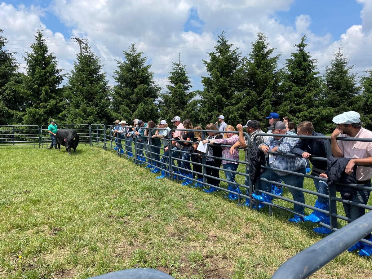 BEEF LEADERS INSTITUTE 
Una muestra de la importancia del avance tecnologico para la recolección de semen y su almacenamiento y su impacto de este eslabón en el resto de la cadena cárnica🐃 🧬 🔬
📍Nebraska 🇺🇲