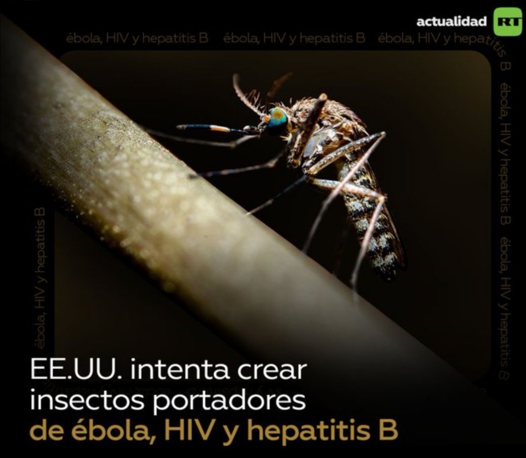 ¿Dónde están las Naciones Unidas?
USA es quien incluye a #Cuba en la espuria lista de países patrocinadores del terrorismo, sin embargo en su afán hegemónico planea el exterminio de la humanidad sin importarle violar la Convención sobre el uso de armas biológicas. #USATerrorista