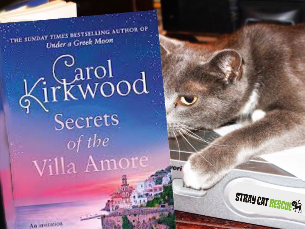 Suffice to say that all the mogs at @scrfife are very much  @carolkirkwood fans 🐱😍#SecretsoftheVillaAmore

linktr.ee/scrfife #CatsofTwittter #CatsLover #catrescue #straycats #foreverhomes