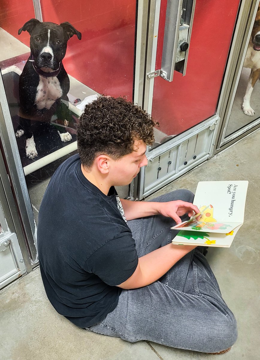 Congrats to our Thumbs Up Awardees! These baristas volunteered at <a href="/WaysideWaifs/">Wayside Waifs</a> for Starbucks Global Month of Good. Thank you for giving your time  and helping your community!