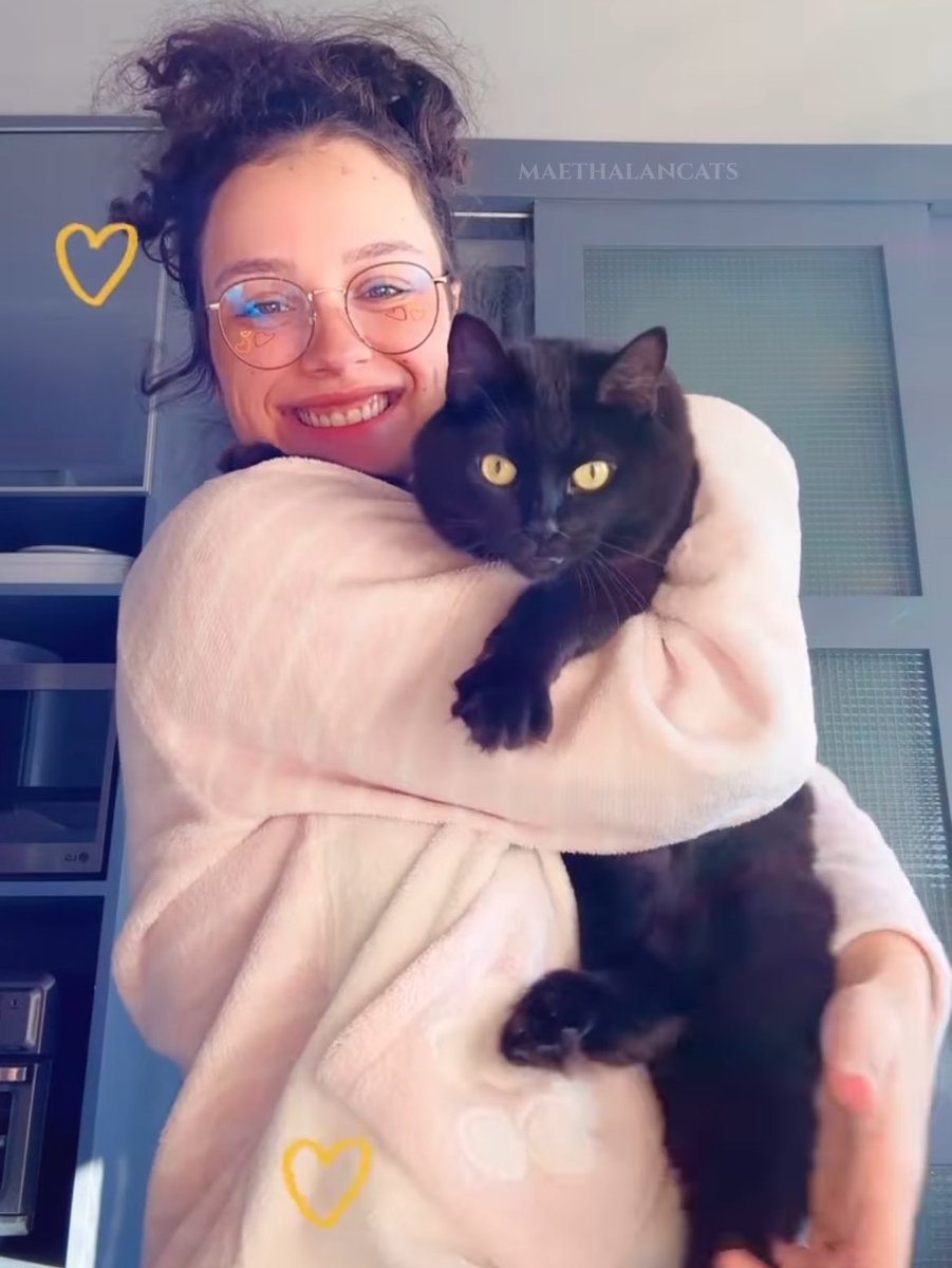 maethalancats's tweet photo. 💛 https://t.co/x96Sq8LzXq