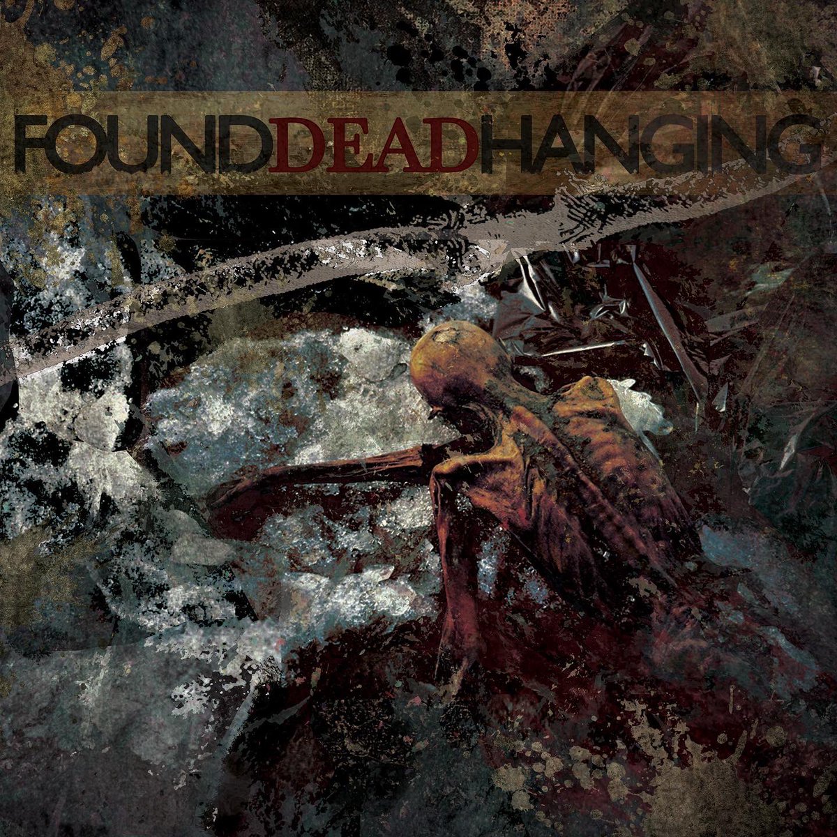 Connie Sgarbossa tweet media