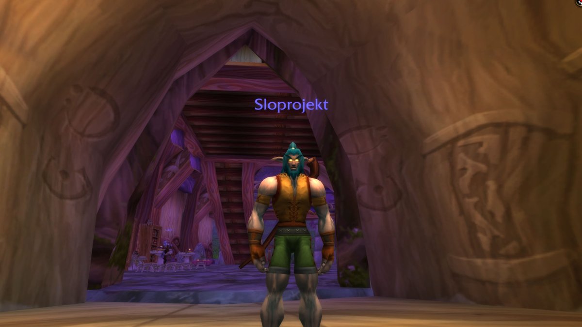 SloProjekt's tweet photo. The Journey begins

#classicwow https://t.co/s2pmtWgL9V