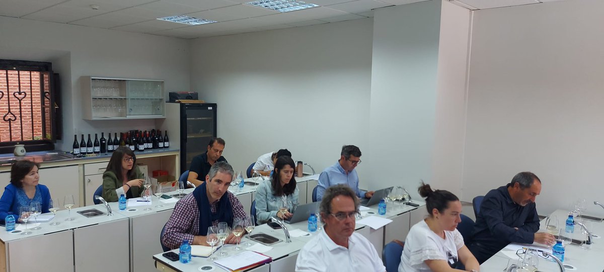 ITACYL's tweet photo. Reunión anual del proyecto #FEADER #VARMINTEC: Adaptación y estudio agronómico y enológico a través de nuevas tecnologías de #VariedadesMinoritarias de #vid recuperadas de Castilla y León, con cata de vinos elaborados con estas variedades.
¡¡Resultados muy prometedores!! https://t.co/Hjq0Opcr8l
