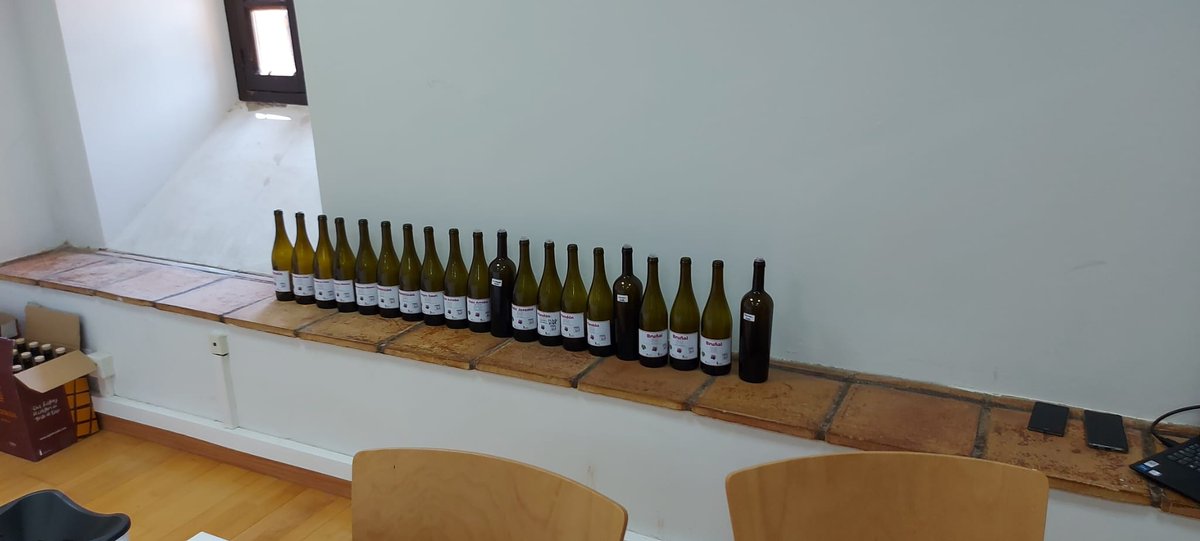 ITACYL's tweet photo. Reunión anual del proyecto #FEADER #VARMINTEC: Adaptación y estudio agronómico y enológico a través de nuevas tecnologías de #VariedadesMinoritarias de #vid recuperadas de Castilla y León, con cata de vinos elaborados con estas variedades.
¡¡Resultados muy prometedores!! https://t.co/Hjq0Opcr8l