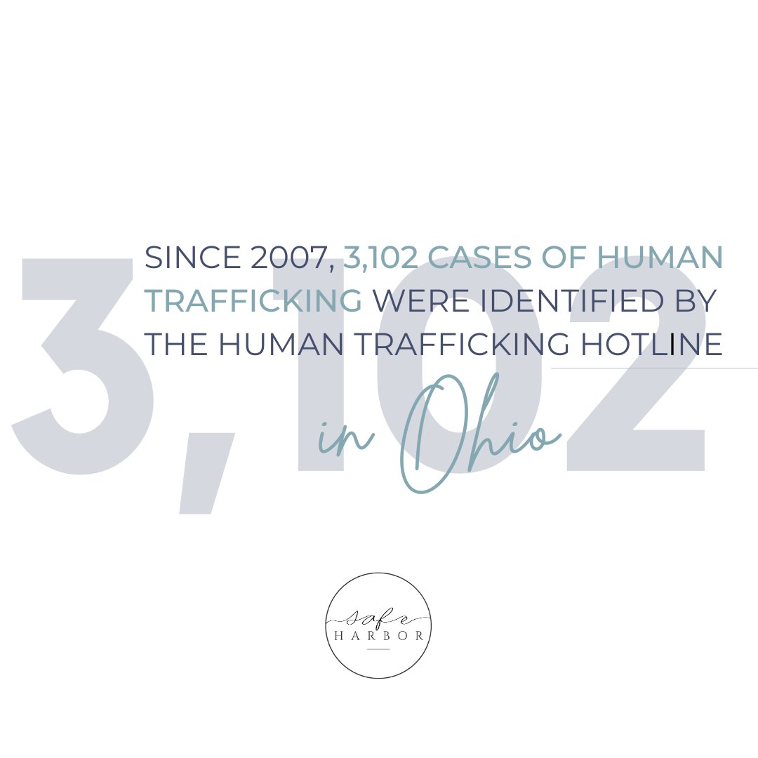 Since its inception in 2007, the Human Trafficking Hotline has identified 3,102 cases of human trafficking. 6,013 victims were identified as many cases include more than one victim.

#safeharborohio #humantraffickingawareness #humantraffickingohio #sextraffickingohio