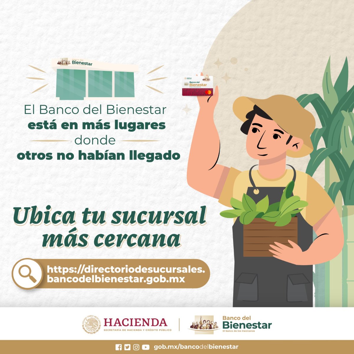 bbienestarmx's tweet image. Desde una persona con discapacidad en #Tijuana hasta un abuelito en #Yucatán, hoy cada beneficiario de los #ProgramasBienestar pueden visitar una de las sucursales distribuidas en todo México. 🇲🇽

Consulta la tuya aquí:  🔗…desucursales.bancodelbienestar.gob.mx