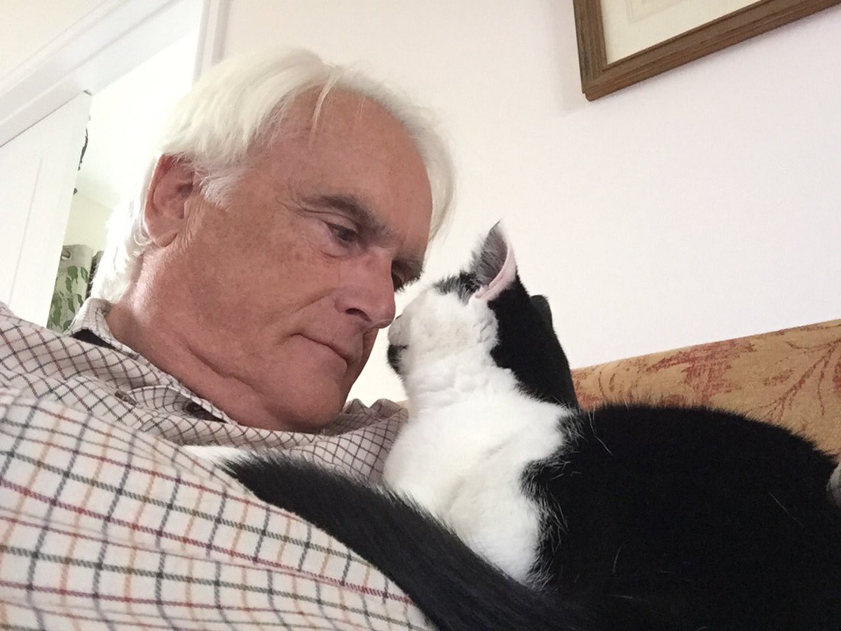 MittensMia's tweet photo. @SwaleCats @BagginsSuperCat My Dad luvs me! #CatMenDo https://t.co/7uNnzmY1vh
