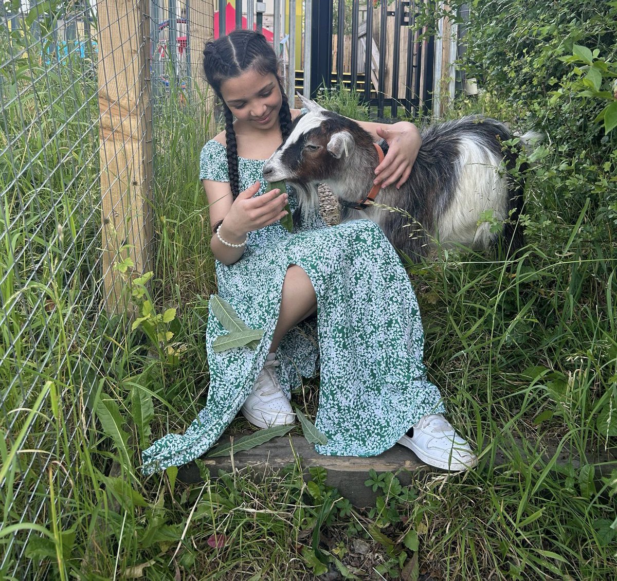 CATCHLeeds's tweet photo. 25th #MeetOurGoatMonday🐐. Our volunteer Sara with our Pygmy goat ‘Yoda’ which is kindly sponsored by @Westpoint_Vets. Every Monday a different volunteer will take a photo with one of our goats. #CATCHFamily #AspireToInspire #52Mondays #Week25 #OneEarthOneFamilyOurHome🌎 https://t.co/ojpEcyNSss