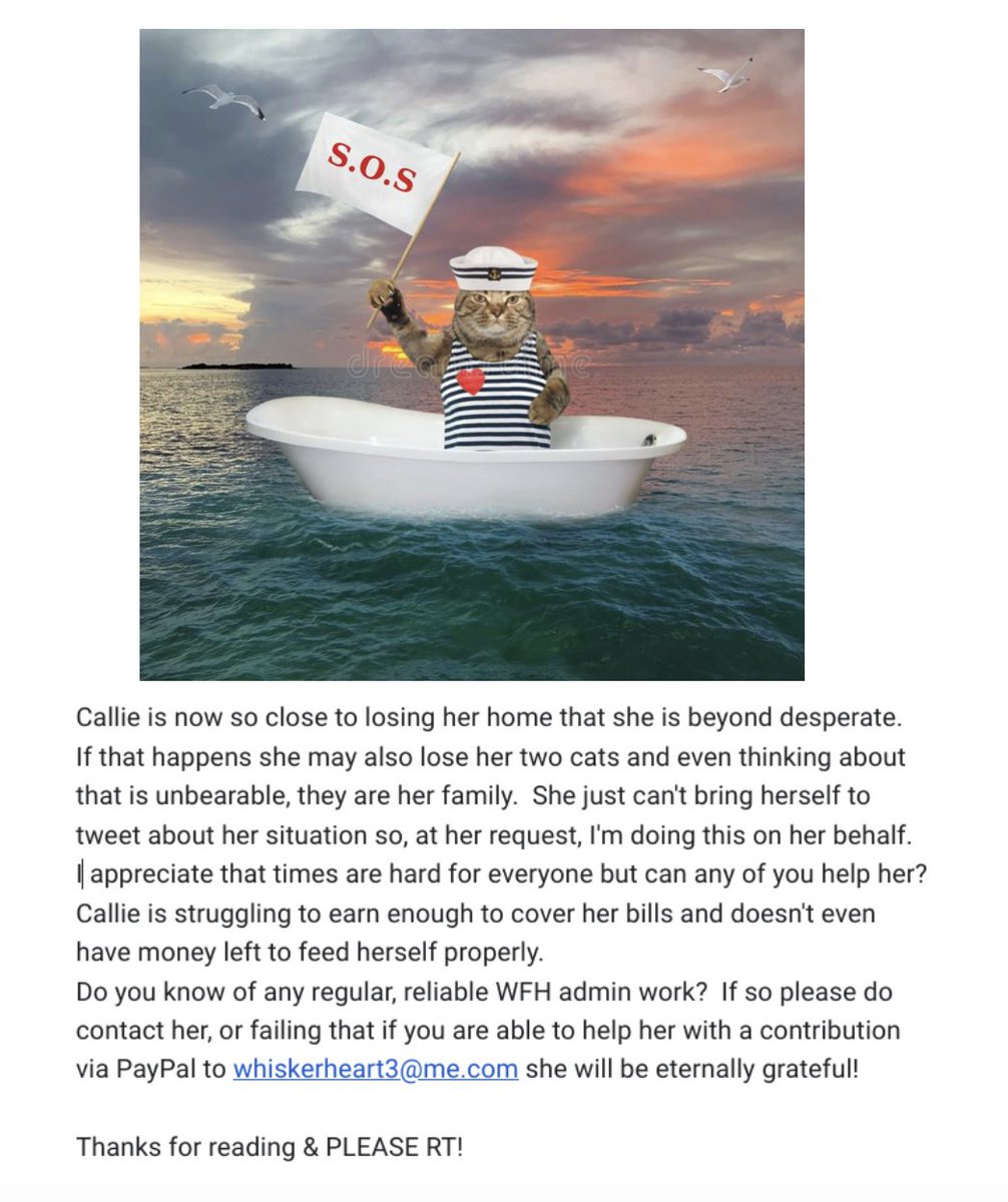 #pawcircle RT @SquirtTheCat please may I appeal on behalf of a Twitter friend? Many of you know Callie @catgirl321 for her tireless support of #rescue #cats. She’s on the verge of becoming #homeless! Please can you help by sharing this far and wide? RT