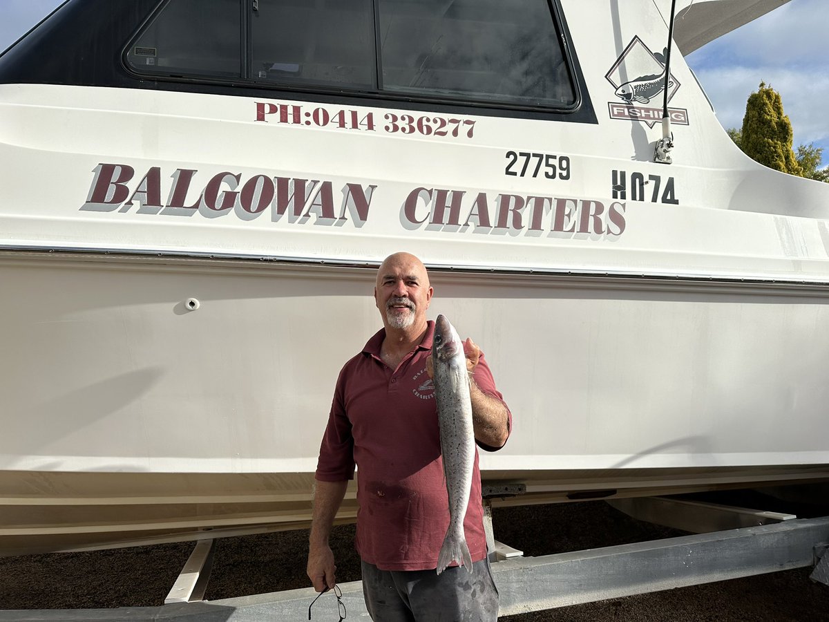 mandy27460018's tweet photo. Balgowan Fishing Charters 55.5cm whiting #balgowan #yorkepenisula #southaustralia https://t.co/lnIN8QS5u6