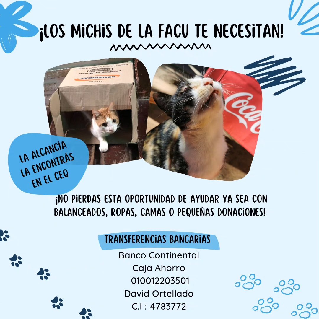 CEQ-UNA tweet media