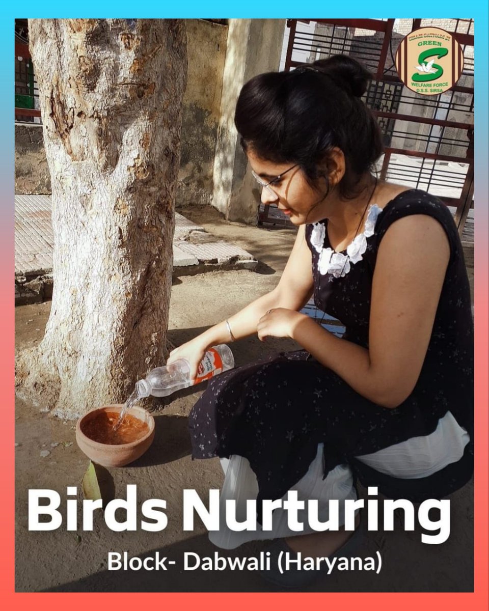 With the inspiration of Saint Gurmeet Ram Rahim Ji, Volunteers of Dera Sacha Sauda have together pledged to arrange food and water for the birds on rooftops of their homes. Volunteers even arrange bird houses at various spots in their respective places.
#SummerCare