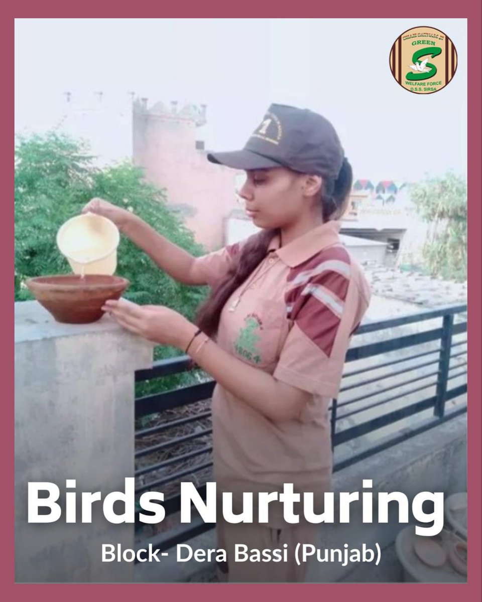 Following the teachings of Saint Gurmeet Ram Rahim Ji, to save the birds from the scorching heat, Dera Sacha Sauda volunteers arrange water and food grains for the birds on their rooftops to cool them down from the heat. #SummerCare