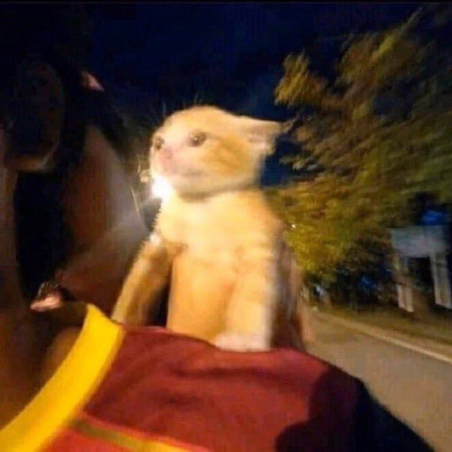 zjfrank13's tweet photo. IM DRUNK IN THE BACK OF THE CAR AND I CRIED LIKE A BABY COMING HOME FROM THE BAR SAID IM FINE BUT IT WASN’T TRUE I DONT WANNA KEEP SECRETS JUST TO KEEP YOU AND I SNUCK IN THROUGH THE GARDEN GATE EVERY NIGHT THAT SUMMER JUST TO SEAL MY FATE OH AND I SCREAMED FOR WHATEVER ITS WORTH https://t.co/bHW9G0shWk
