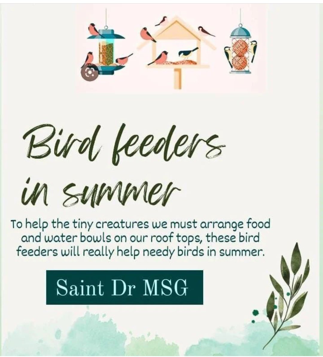 Many birds🐦🐦 lose their lives due to the scorching sun and heat. Following the inspiration of Saint Gurmeet Ram Rahim G, to save the little🐥🐥 birds, the servants of Dera Sacha Sauda keep grains and water for the birds on the roof of their houses. 
#SummerCare
#SaintDrMSG