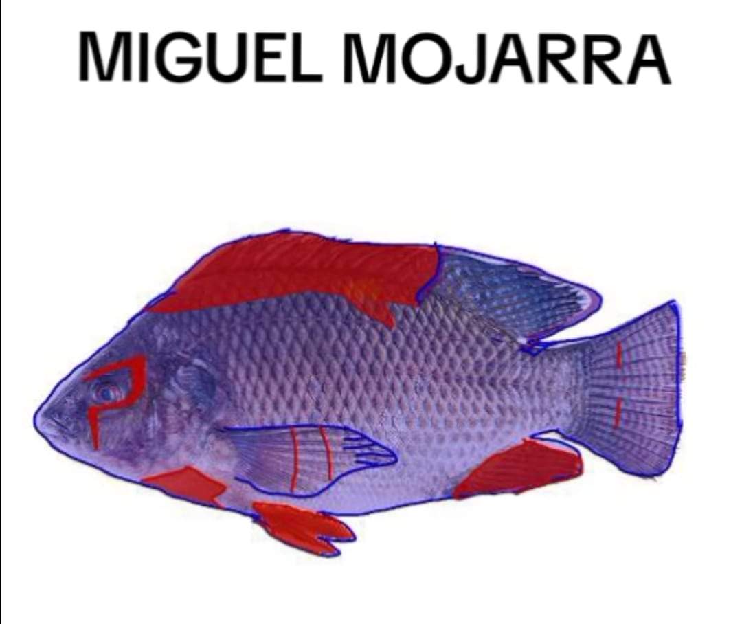 Nah ya yo me quedo con Miguel Mojarra