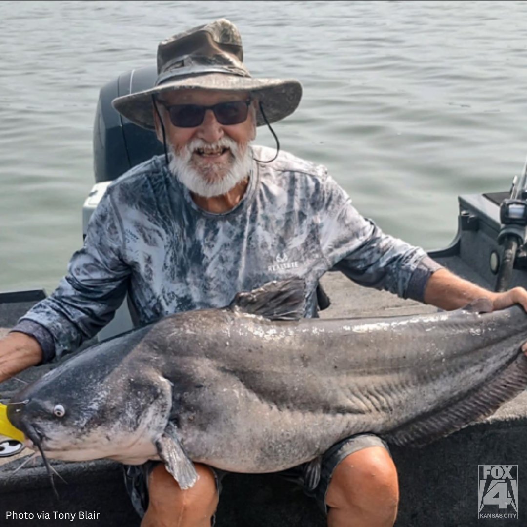 A 78-year-old was fishing at Kansas' largest lake when he hooked a massive catfish over 60 pounds! trib.al/IVik5nD
