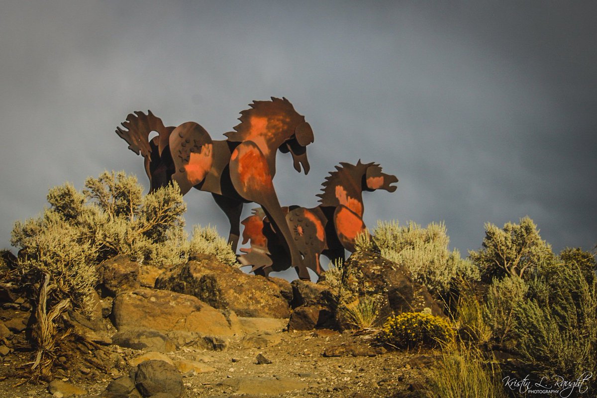 KristinLRaught's tweet image. Wild Horse Monument

Vantage, WA
