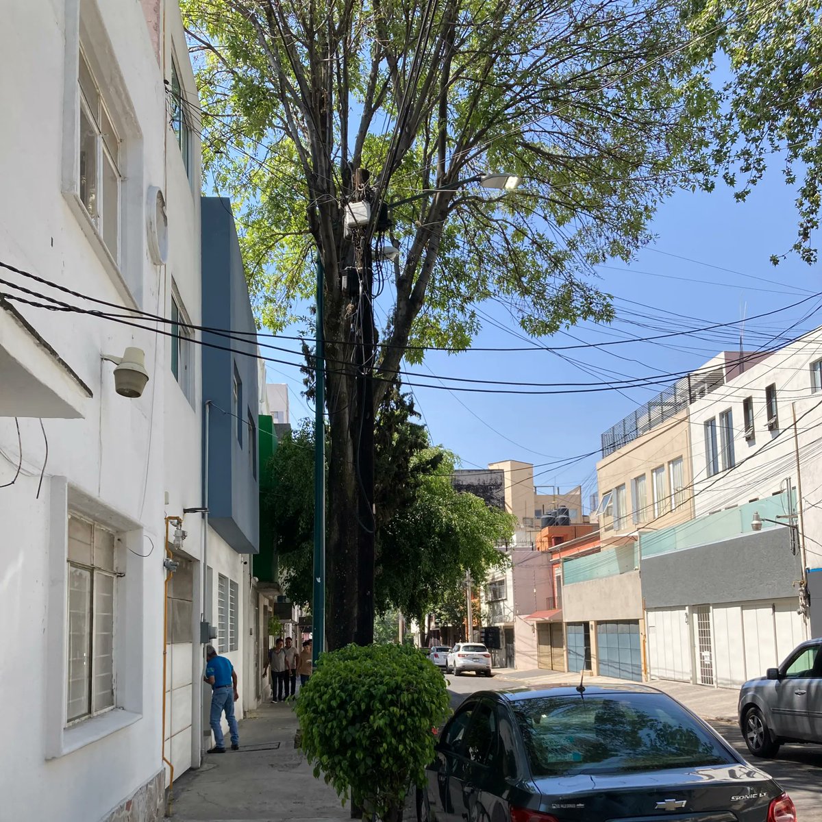 ♎️𝕄𝕠𝕣𝕟𝕚𝕖 𝔸𝕝𝕗𝕒𝕣𝕠🇲🇽 tweet media